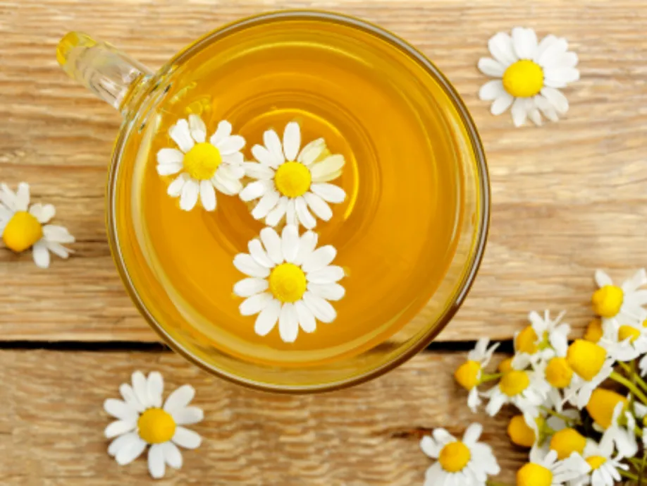 茶香識別指南｜分類、特徵與品飲體驗解析｜常見香型與品飲特色一次看懂