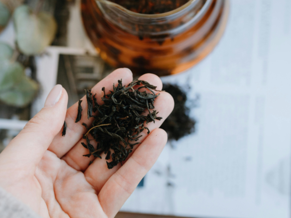 泡茶總是泡不好？找出茶喝起來「不對勁」的原因與解法｜商用茶教學