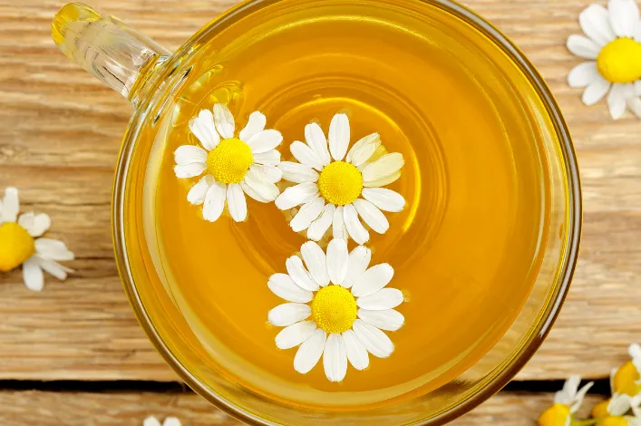 茶香識別指南｜分類、特徵與品飲體驗解析｜常見香型與品飲特色一次看懂