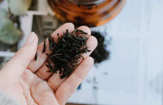 泡茶總是泡不好？找出茶喝起來「不對勁」的原因與解法｜商用茶教學